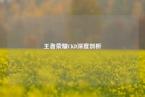 王者荣耀CKD深度剖析