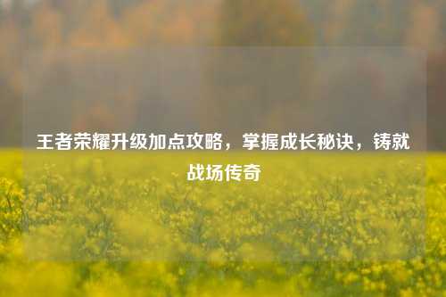 王者荣耀升级加点攻略，掌握成长秘诀，铸就战场传奇