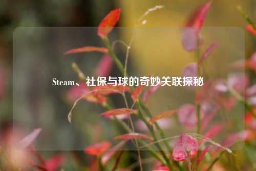 Steam、社保与球的奇妙关联探秘