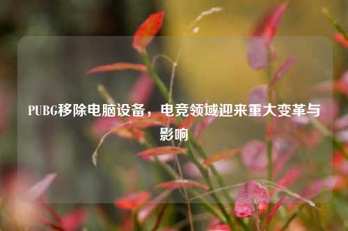 PUBG移除电脑设备,电竞领域迎来重大变革与影响