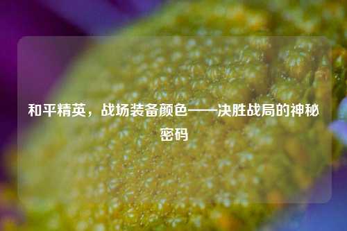 和平精英，战场装备颜色——决胜战局的神秘密码