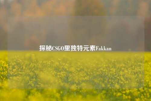 探秘CSGO里独特元素Fakkan