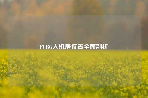 PUBG人机房位置全面剖析