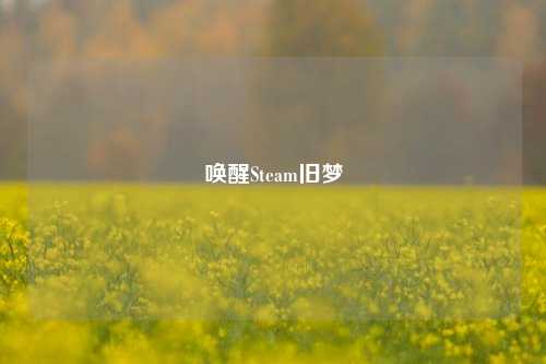 唤醒Steam旧梦