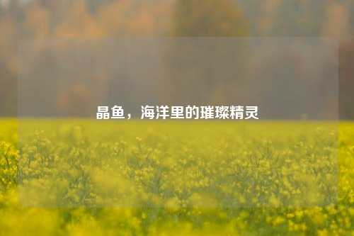 晶鱼，海洋里的璀璨精灵