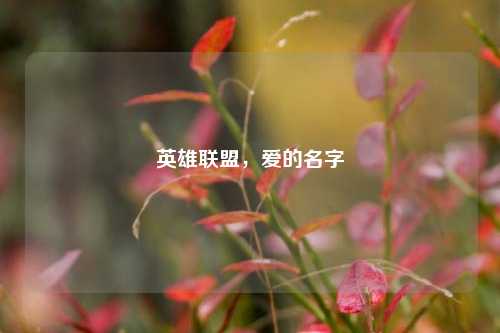 英雄联盟，爱的名字
