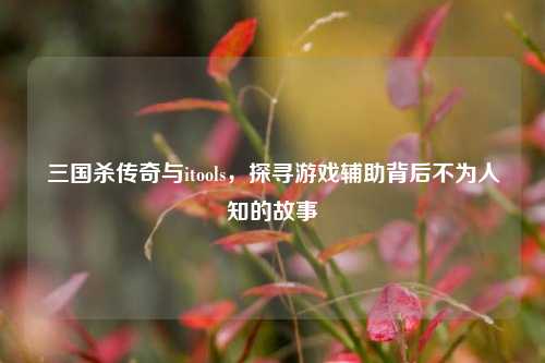 三国杀传奇与itools，探寻游戏辅助背后不为人知的故事