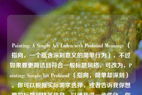 Pointing: A Simple Act Laden with Profound Meanings (指向,一个蕴含深刻意义的简单行为),不过如果要更简洁且符合一般标题风格,可改为,Pointing: Simple Yet Profound (指向,简单却深刻) 。你可以根据实际需求选择,或者告诉我你想要的标题风格等信息,以便我进一步优化。你提供的内容看起来像是要写关于指向这个行为有深刻意义的文章标题,我猜得对吗?