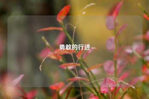 勇敢的行进