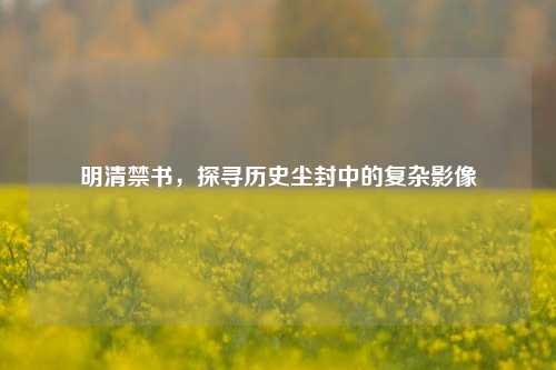明清禁书，探寻历史尘封中的复杂影像