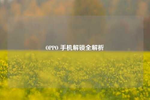 OPPO 手机解锁全解析