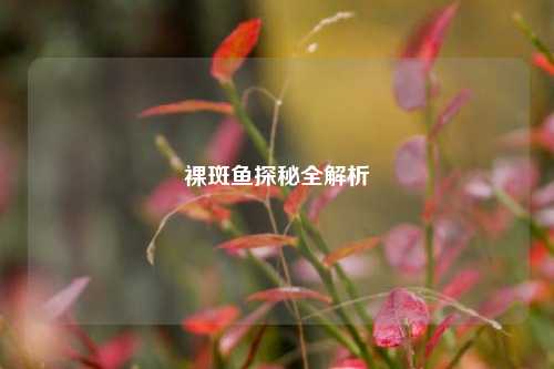 裸斑鱼探秘全解析