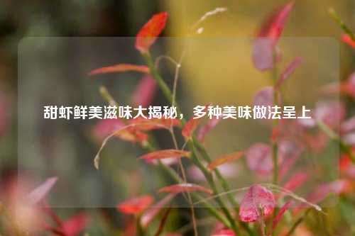 甜虾鲜美滋味大揭秘，多种美味做法呈上