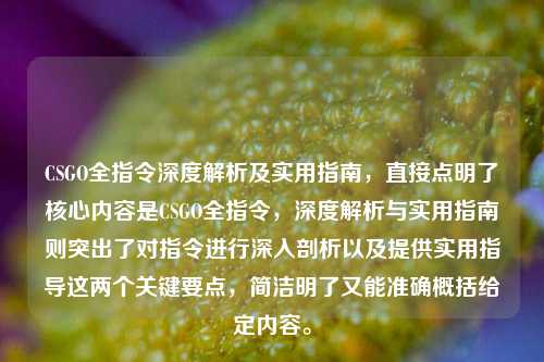 CSGO全指令深度解析及实用指南,直接点明了核心内容是CSGO全指令,深度解析与实用指南则突出了对指令进行深入剖析以及提供实用指导这两个关键要点,简洁明了又能准确概括给定内容。