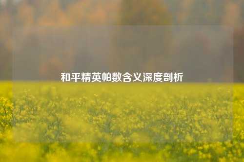 和平精英帕数含义深度剖析