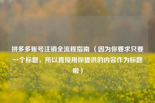 拼多多账号注销全流程指南 （因为你要求只要一个标题，所以直接用你提供的内容作为标题啦）