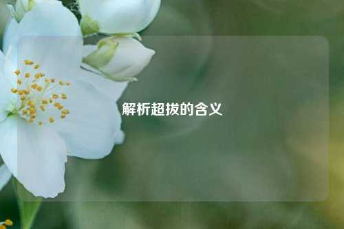 解析超拔的含义