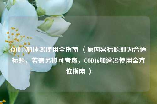 COD16加速器使用全指南 （原内容标题即为合适标题，若需另拟可考虑，COD16加速器使用全方位指南 ）