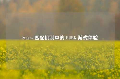 Steam 匹配机制中的 PUBG 游戏体验