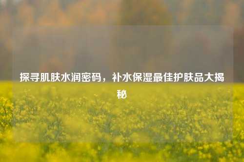 探寻肌肤水润密码，补水保湿最佳护肤品大揭秘
