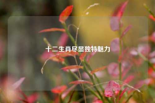十二生肖尽显独特魅力