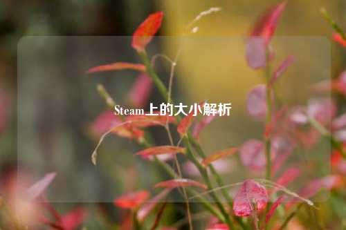 Steam上的大小解析