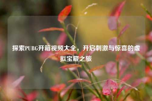 探索PUBG开箱视频大全，开启刺激与惊喜的虚拟宝藏之旅