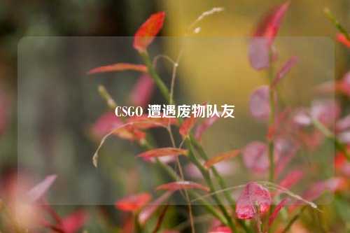 CSGO 遭遇废物队友