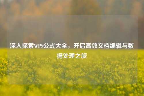 深入探索WPS公式大全,开启高效文档编辑与数据处理之旅