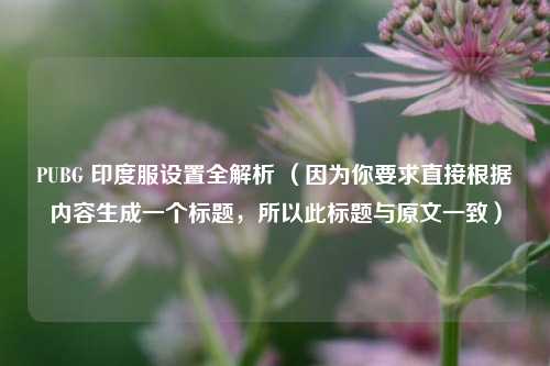 PUBG 印度服设置全解析 （因为你要求直接根据内容生成一个标题，所以此标题与原文一致）
