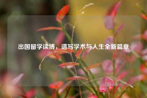 出国留学读博,谱写学术与人生全新篇章