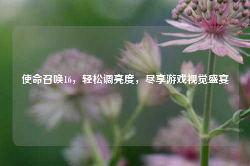 使命召唤16，轻松调亮度，尽享游戏视觉盛宴
