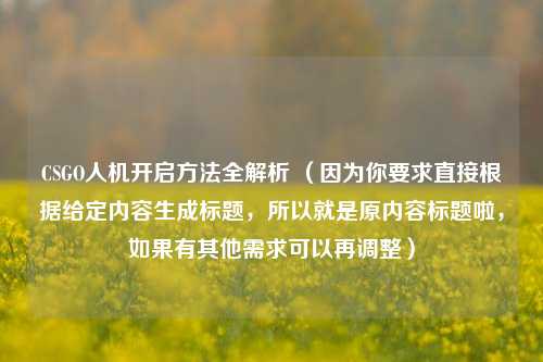 CSGO人机开启方法全解析 （因为你要求直接根据给定内容生成标题，所以就是原内容标题啦，如果有其他需求可以再调整）