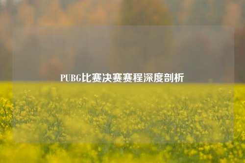 PUBG比赛决赛赛程深度剖析