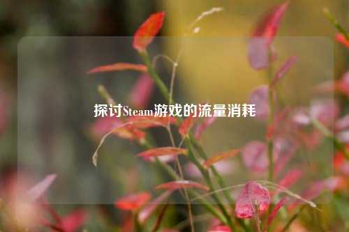 探讨Steam游戏的流量消耗
