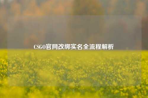 CSGO官网改绑实名全流程解析