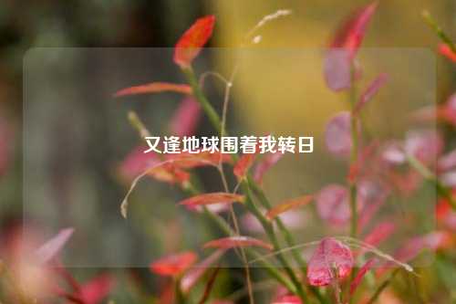 又逢地球围着我转日
