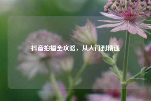 抖音拍摄全攻略，从入门到精通