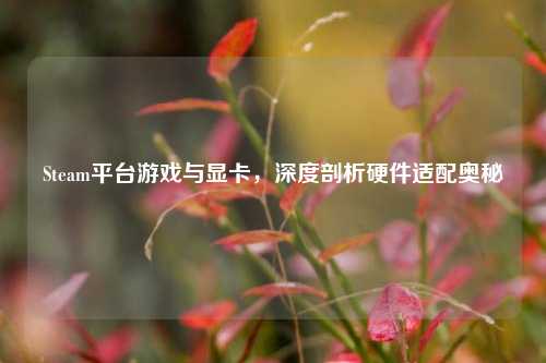 Steam平台游戏与显卡，深度剖析硬件适配奥秘