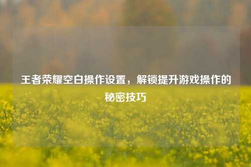 王者荣耀空白操作设置，解锁提升游戏操作的秘密技巧