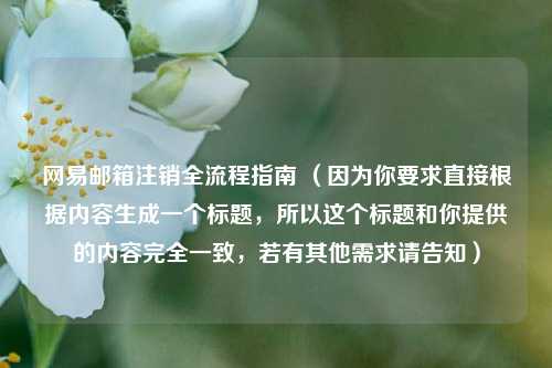 网易邮箱注销全流程指南 （因为你要求直接根据内容生成一个标题，所以这个标题和你提供的内容完全一致，若有其他需求请告知）