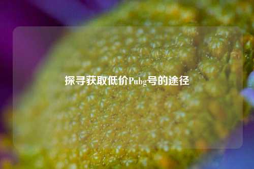 探寻获取低价Pubg号的途径