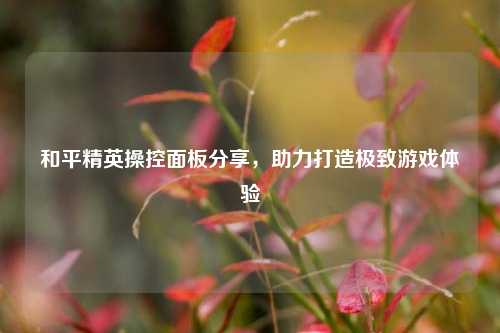 和平精英操控面板分享，助力打造极致游戏体验