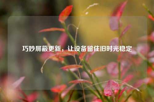巧妙屏蔽更新,让设备留住旧时光稳定