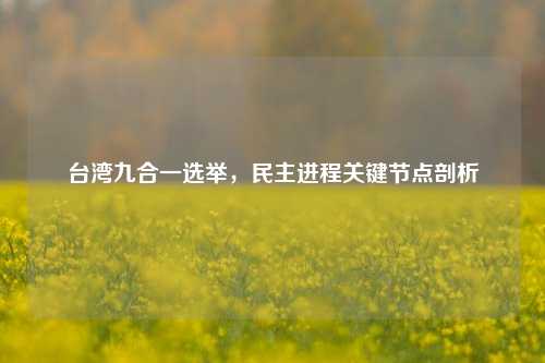 台湾九合一选举，民主进程关键节点剖析