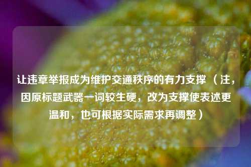 让违章举报成为维护交通秩序的有力支撑 （注，因原标题武器一词较生硬，改为支撑使表述更温和，也可根据实际需求再调整）
