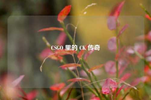 CSGO 里的 CK 传奇