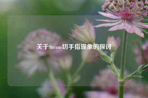 关于Steam切手指现象的探讨