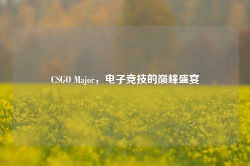 CSGO Major,电子竞技的巅峰盛宴