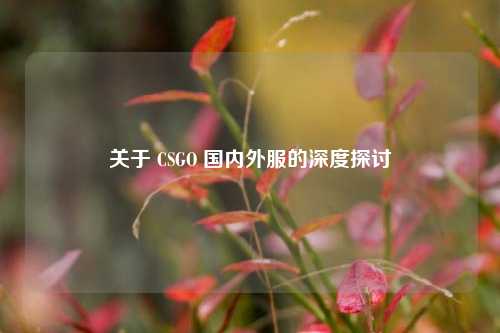 关于 CSGO 国内外服的深度探讨